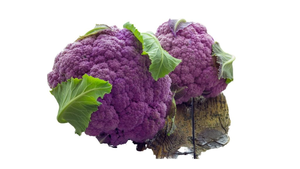 Blue Cauliflower foods high in fiber