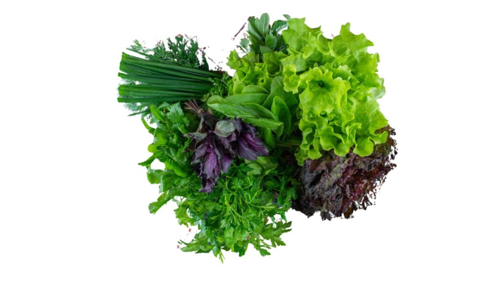 Blue Kale foods high in fiber