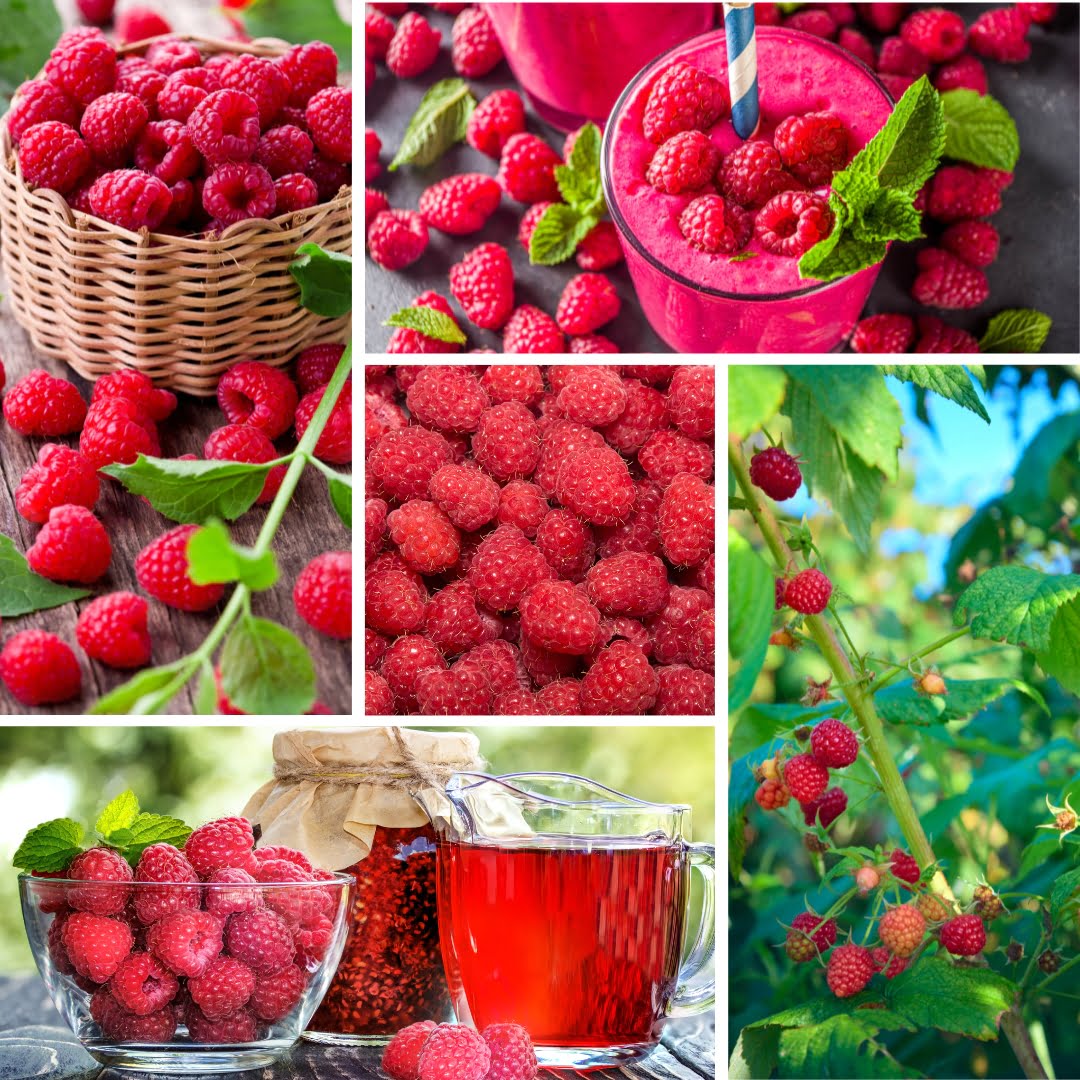 Are Raspberries Acidic Foods High in Fiber